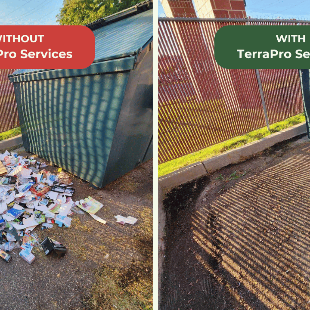 Dumpster Cleanup Service